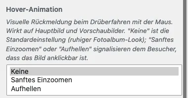 Customizer-Auswahl Hover-Animation mit den Optionen Keine, Sanftes Einzoomen und Aufhellen