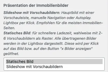 Customizer-Auswahl Präsentation der Immobilienbilder mit gewählter Option Statisches Bild