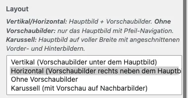 Aufgeklappte Customizer-Auswahl Layout mit den vier Optionen der Slideshow