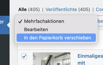 WordPress-Backend - Papierkorb leeren nach dem Löschen aller Immobilien